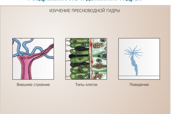 Кракен kr2web in что это