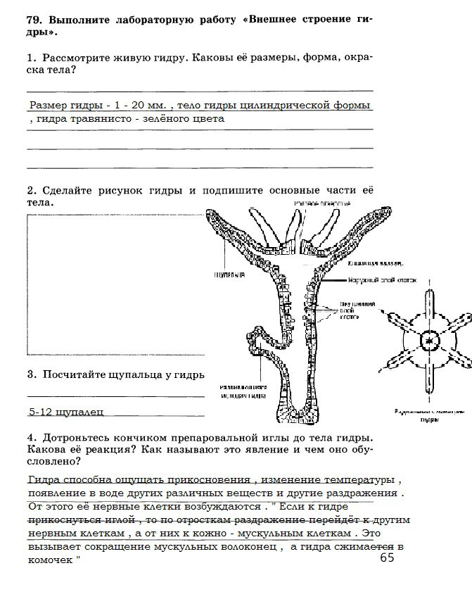 Кракен сайт 2krnk