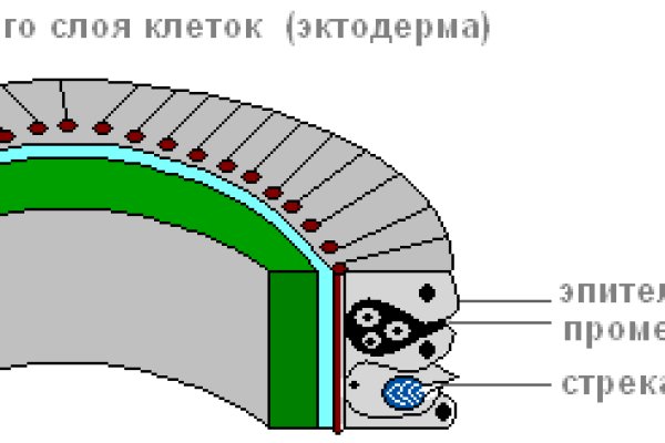 Кракен сайт 2krnk cc