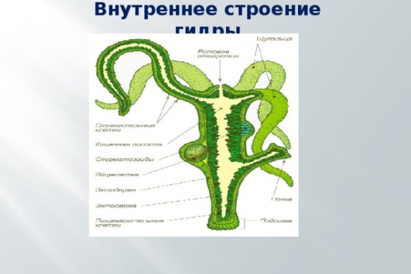 Кракен что продают