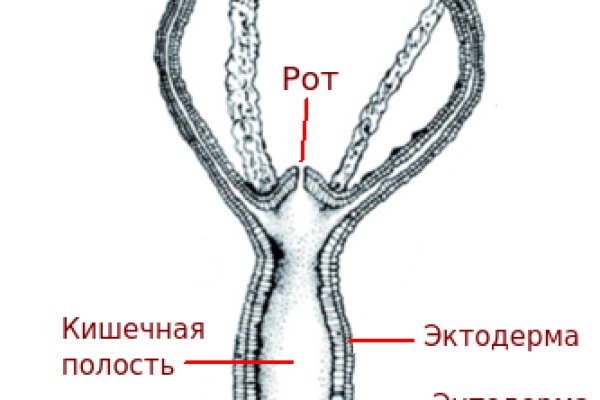 Работает ли кракен