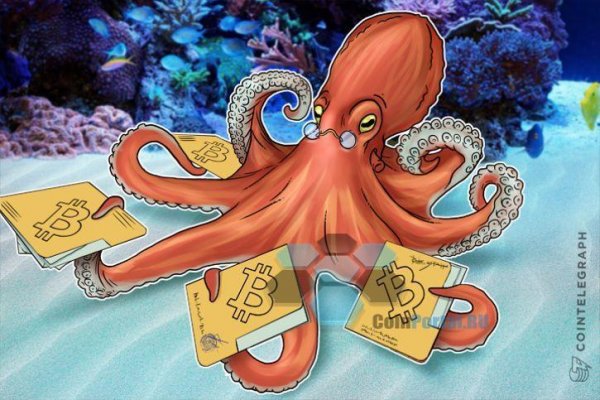 Kraken рабочий