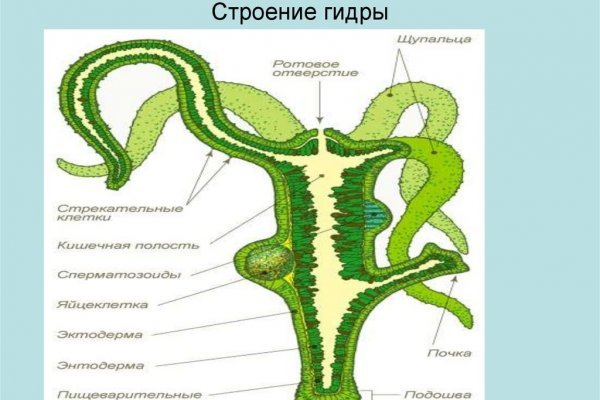 Кракен оригинальная ссылка для тор